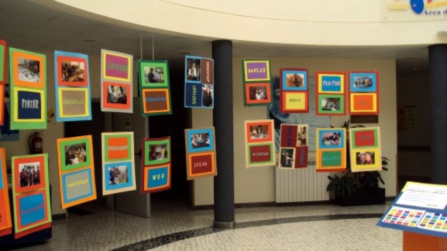 Exposição Escolhas
