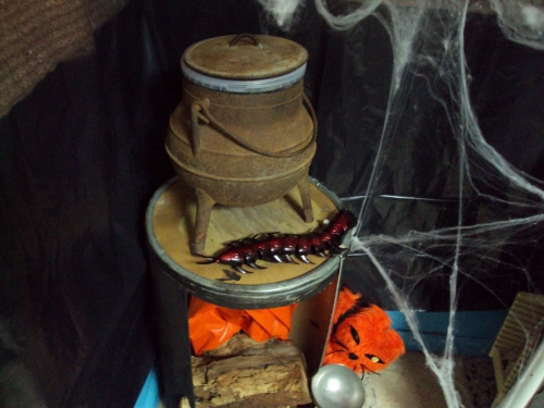 1415105051_82.jpg