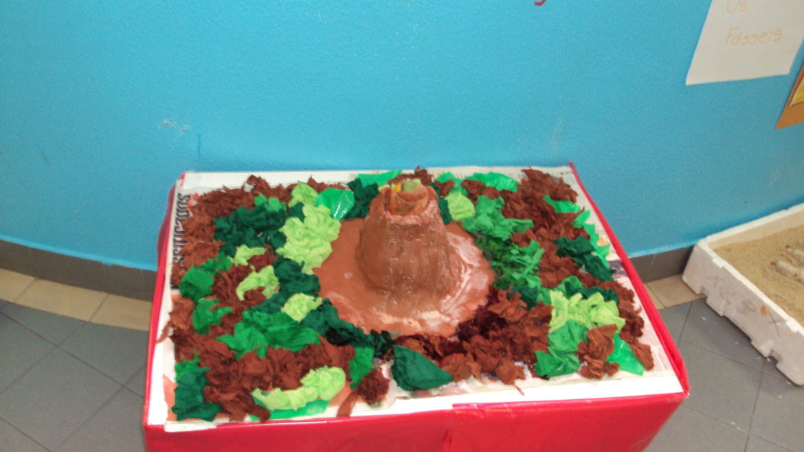 DSC02343.jpg
