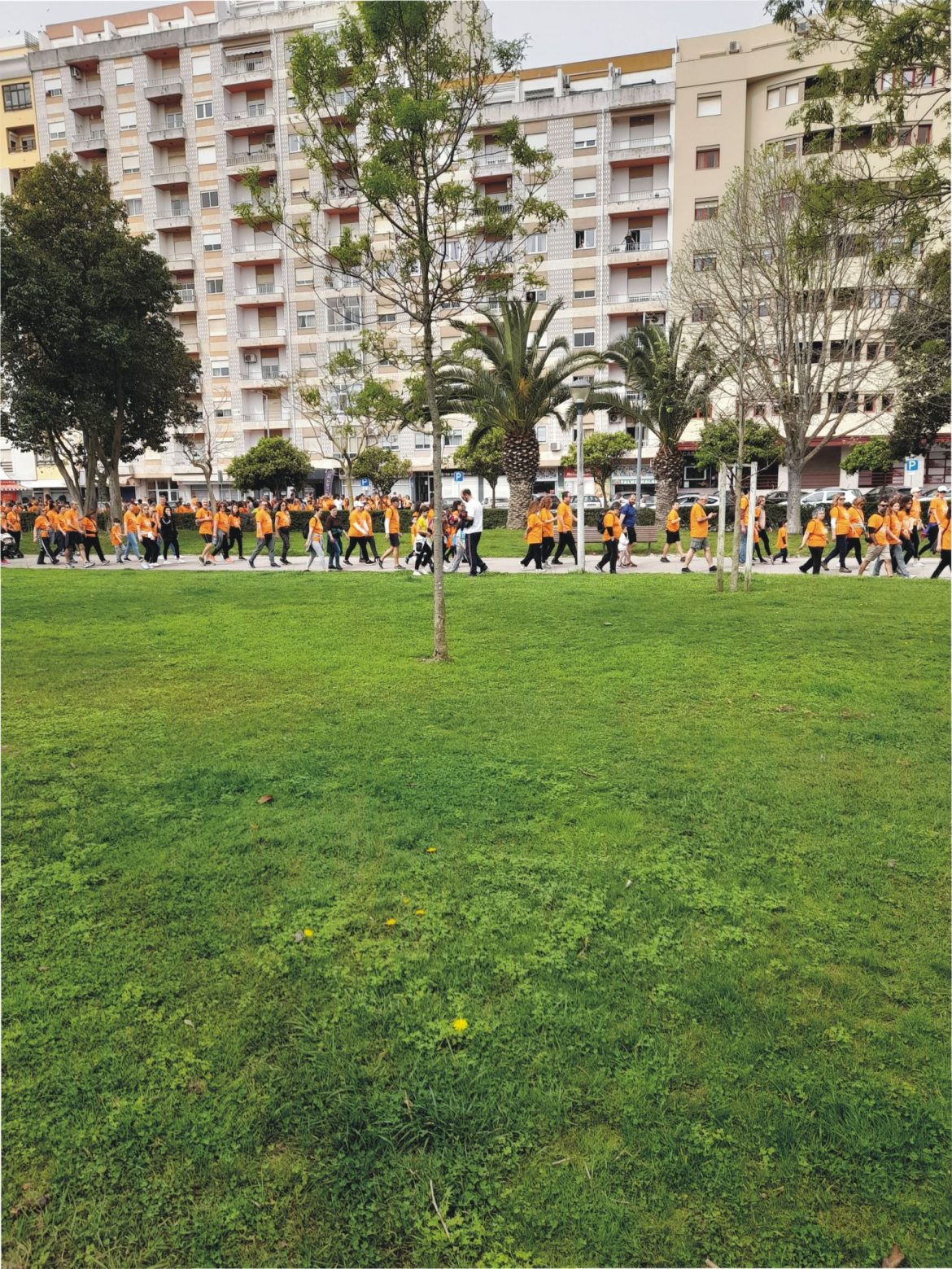 14-3.jpg